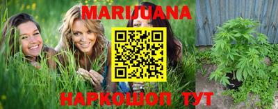 индика Донской