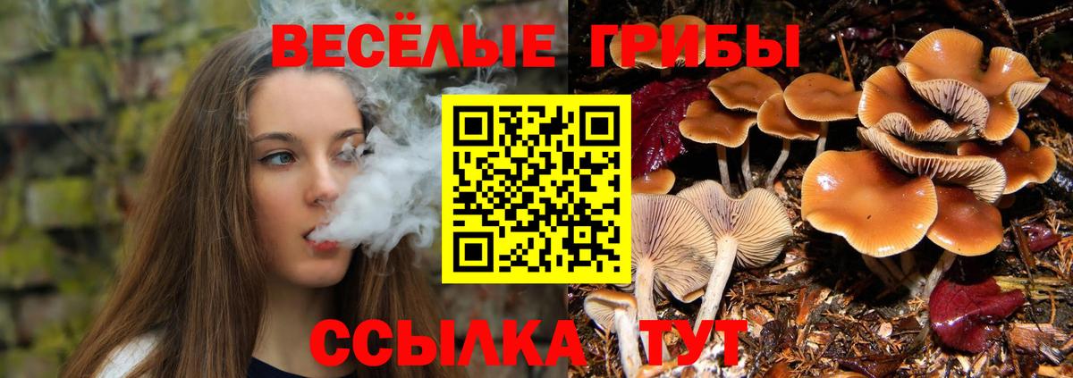 Галлюциногенные грибы мицелий Курчатов
